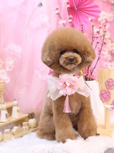 20250313こじろうくん